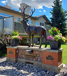 Elk Sculpture protected with Everbrite Coating