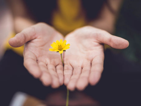 Giving… How to Help Others in Business