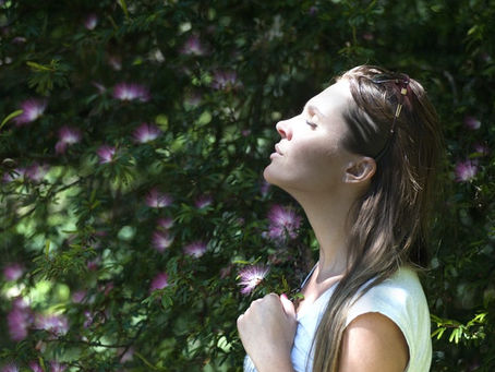 Health… The Wellbeing of You and Your Business
