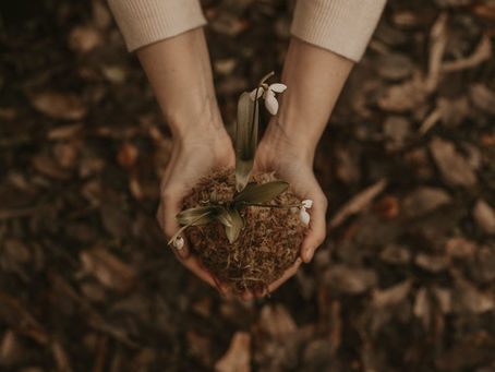 Investment… How to Help Your Business Grow