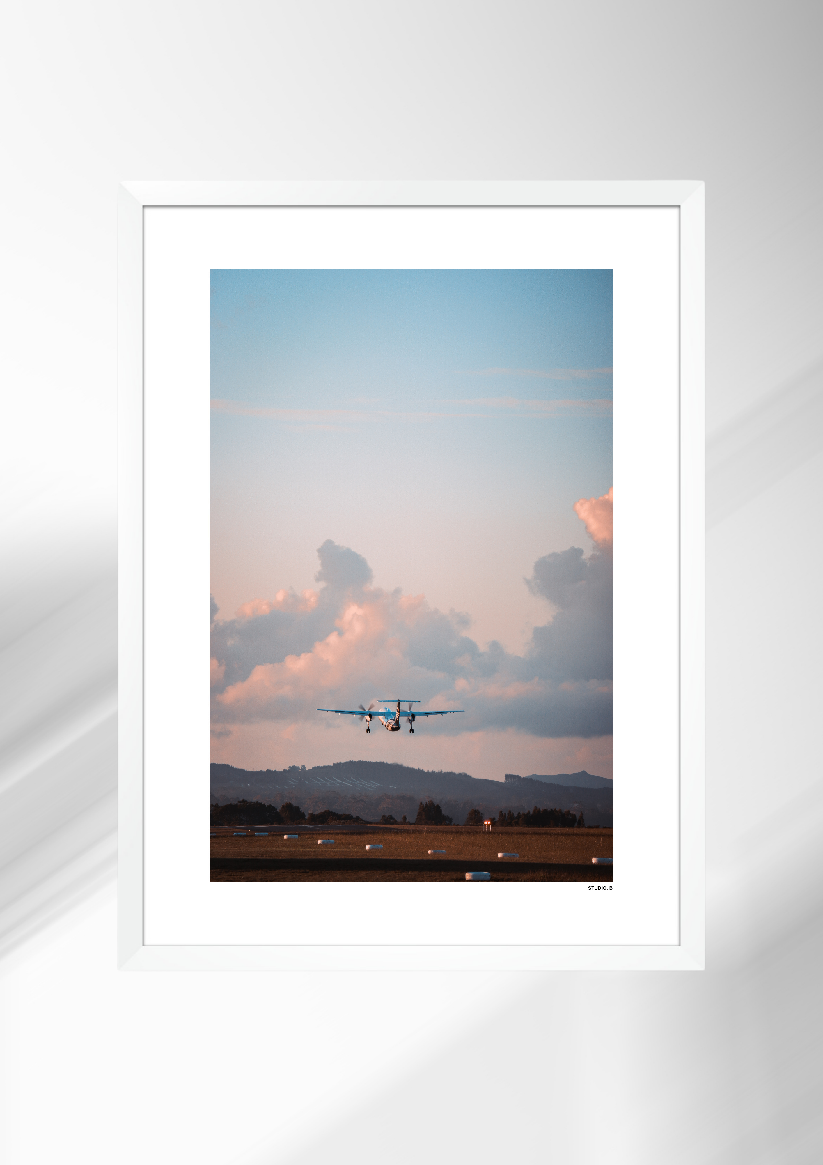 Flying From the Bay.