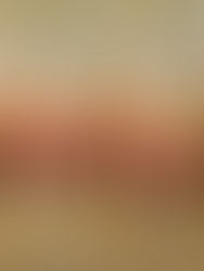 【終了しました】「北海道てしおフェア」を今年も開催します!