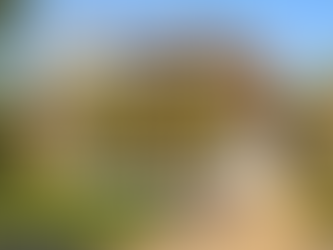 Who are specialist mortgages really for?