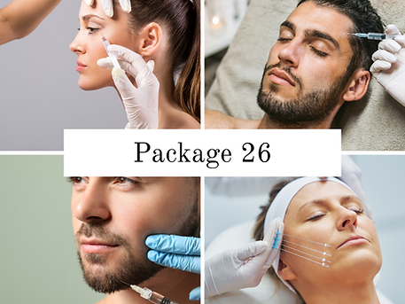 Package 26.png