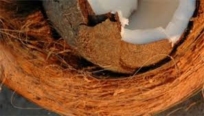 images (1)