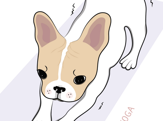 Screen Shot 2020-09-27 at 11.38.41 AM.png