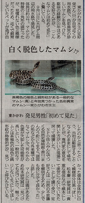 白マムシ_四国新聞掲載_20251006.jpg