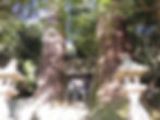県天然記念物「熊野神社の二本杉」