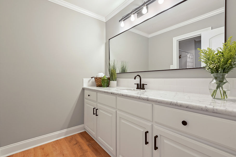 Guest Bath