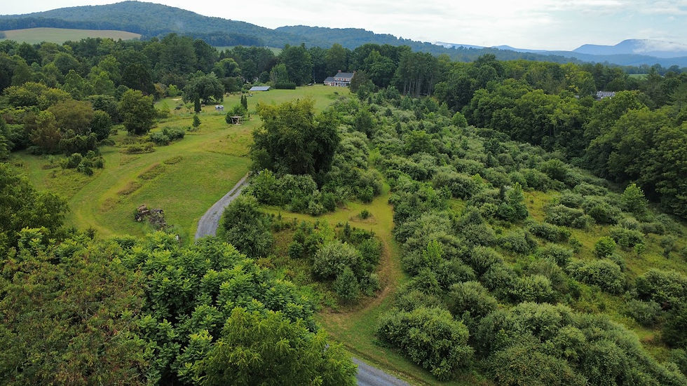 For a Thriving Future: New Land