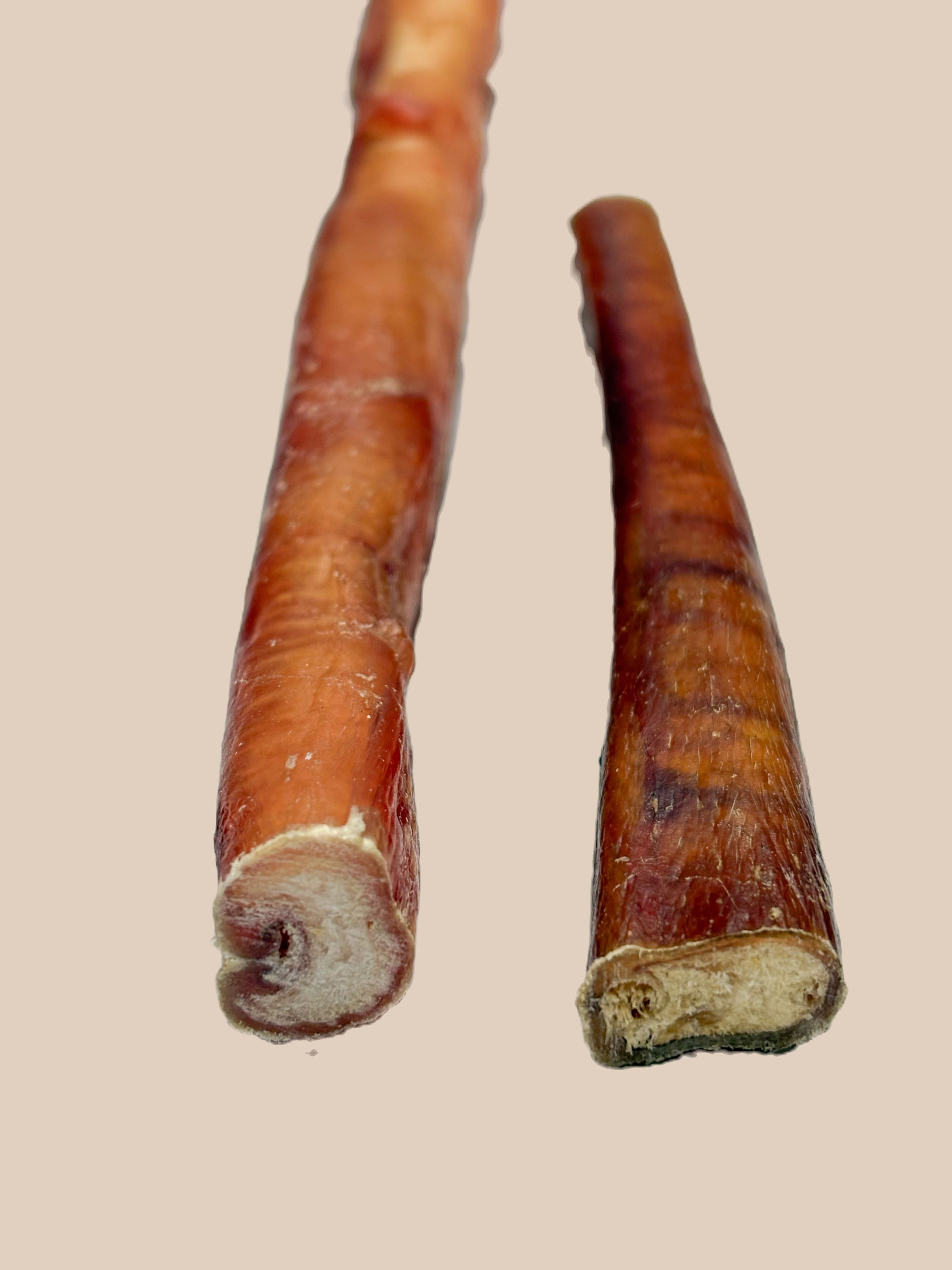 MONSTER BULLY STICK  (6 IN)