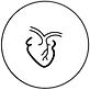 VETT CARDIO.png