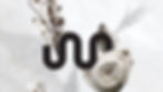 stpl_photo.jpg