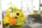 location de plantes