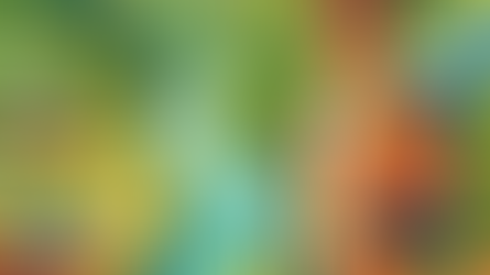 Guía Definitiva para Viajar de Forma Sostenible y Económica