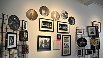 AnARTchy: The Art of Punk