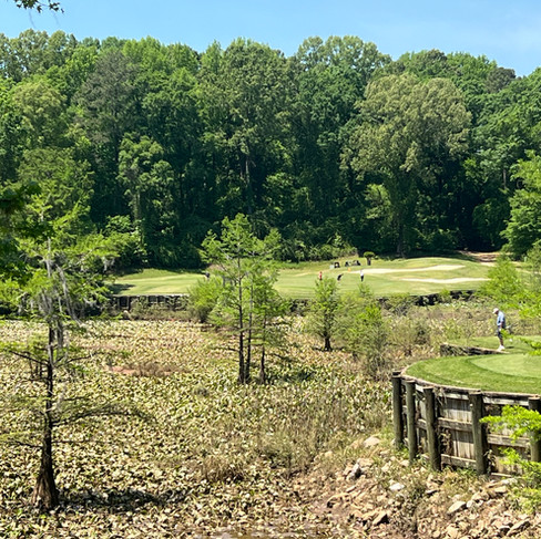 Capitol Hill Judge Course