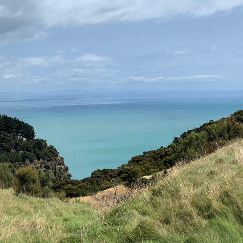 Cape Kidnappers