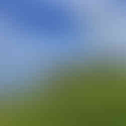 Dinard Golf
