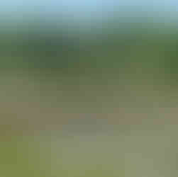 Capitol Hill Judge Course