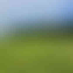 Dinard Golf