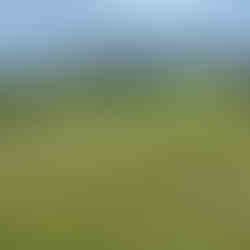Dinard Golf
