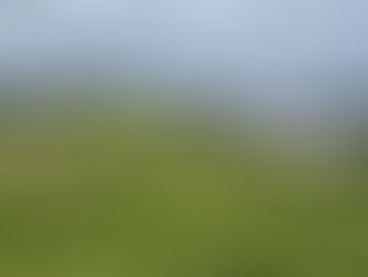 Dinard Golf