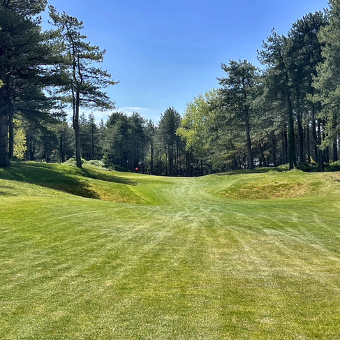 Belle Dune