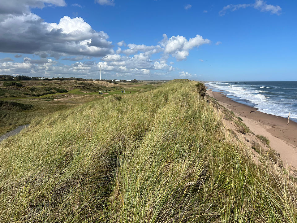 Royal Aberdeen