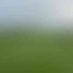 Dinard Golf