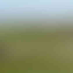 Trump Scotland New Course