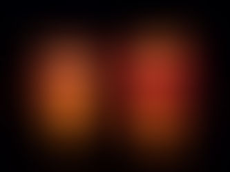 Top 10 Halloween Themed Plants