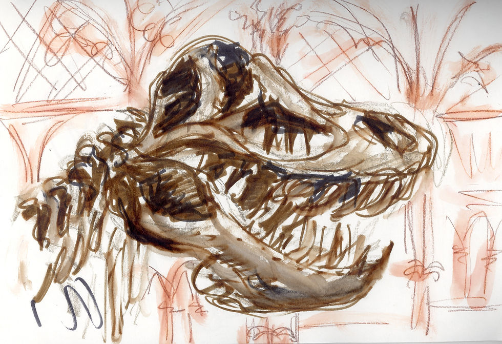 Natural History Mus. Dinosaur