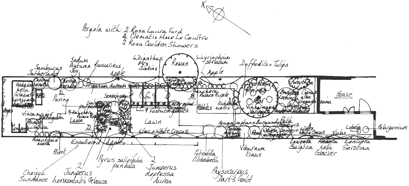 planting_diagram_large.gif