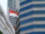 Singapore Flag