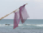 Purple Flags