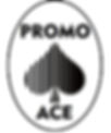 PROMO%20ACE%20LOGO%20PROVISIONAL_edited.