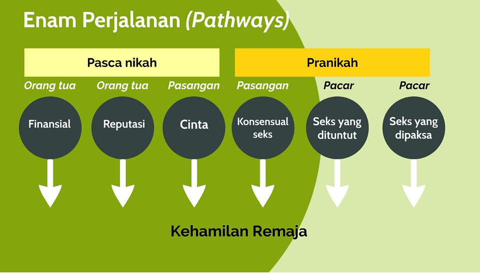 Six pathways to adolescent pregnancy