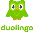 png-transparent-duolingo-logo-brand-logo