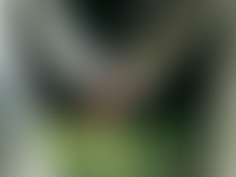 【岐阜で40代の婚活】厳しいと言われる理由と、実際にうまくいく人の共通点