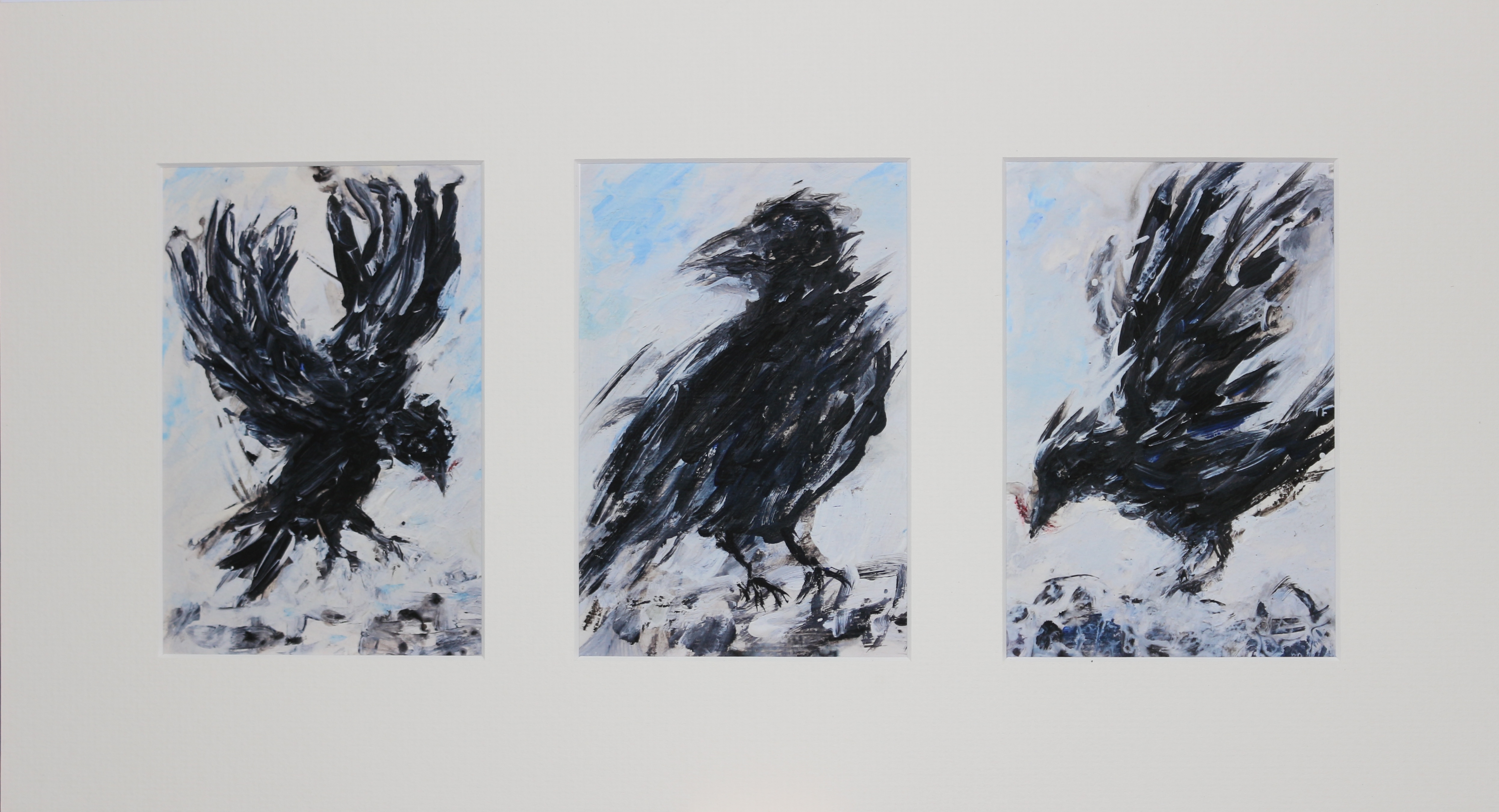 Crows in the Snow