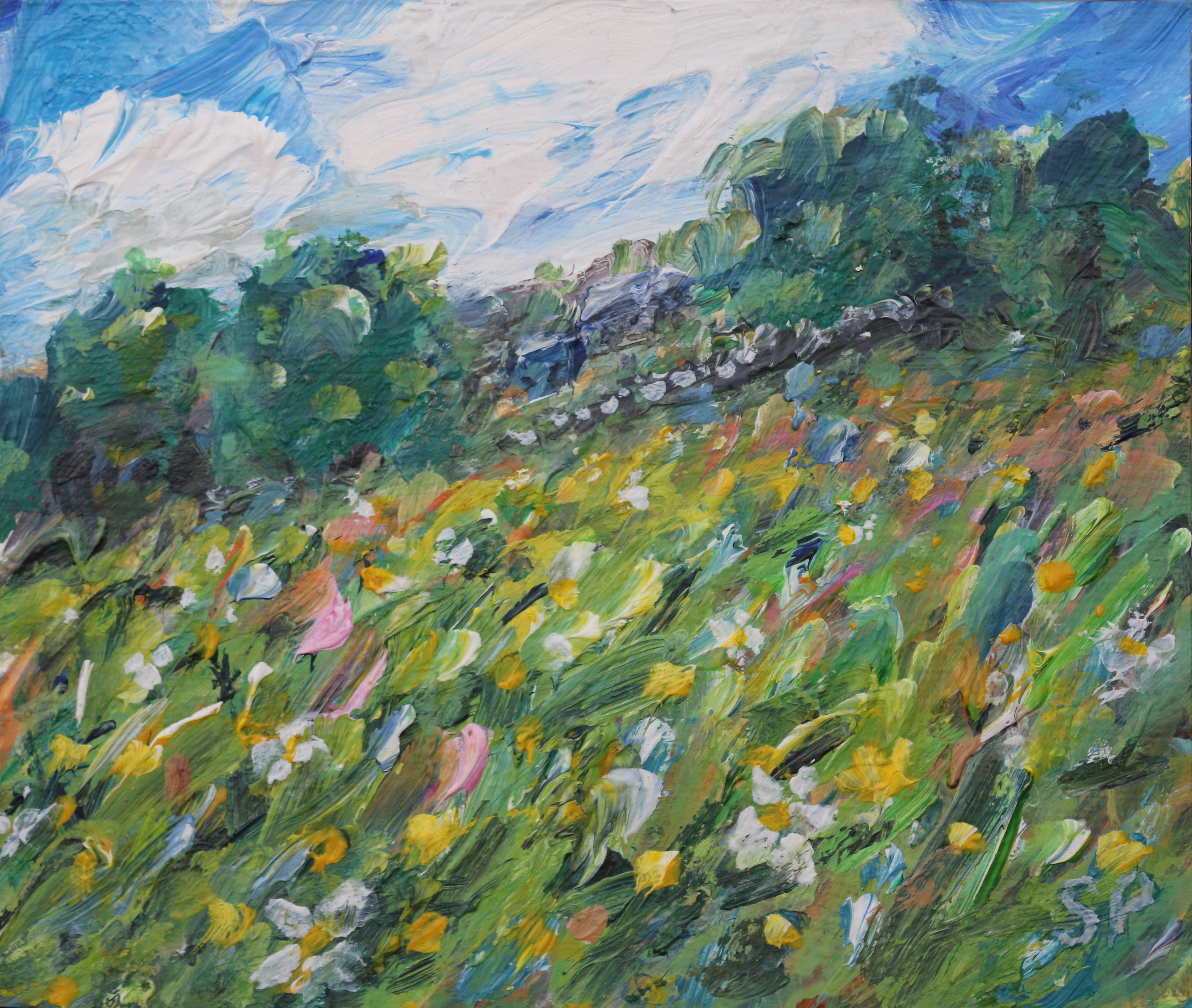 Buttercups and Daisies