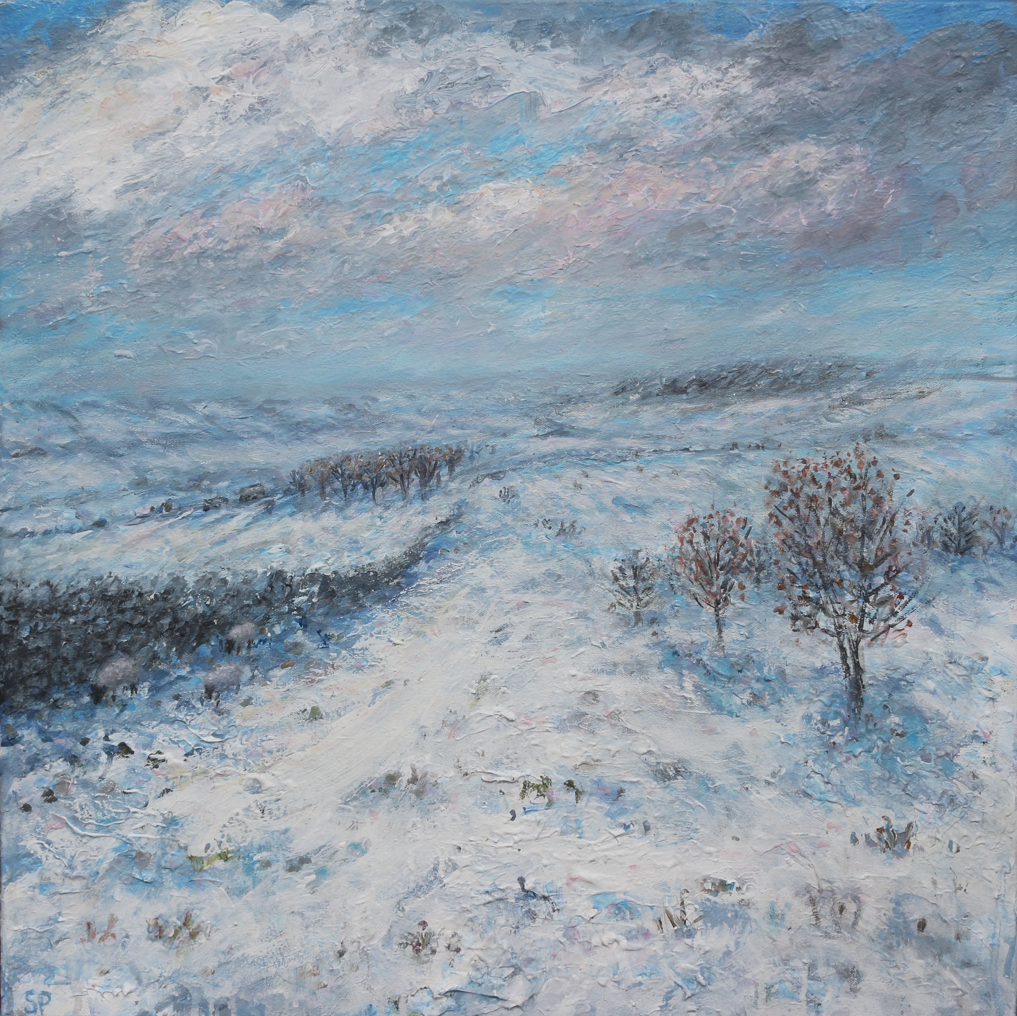 Blanketed in snow