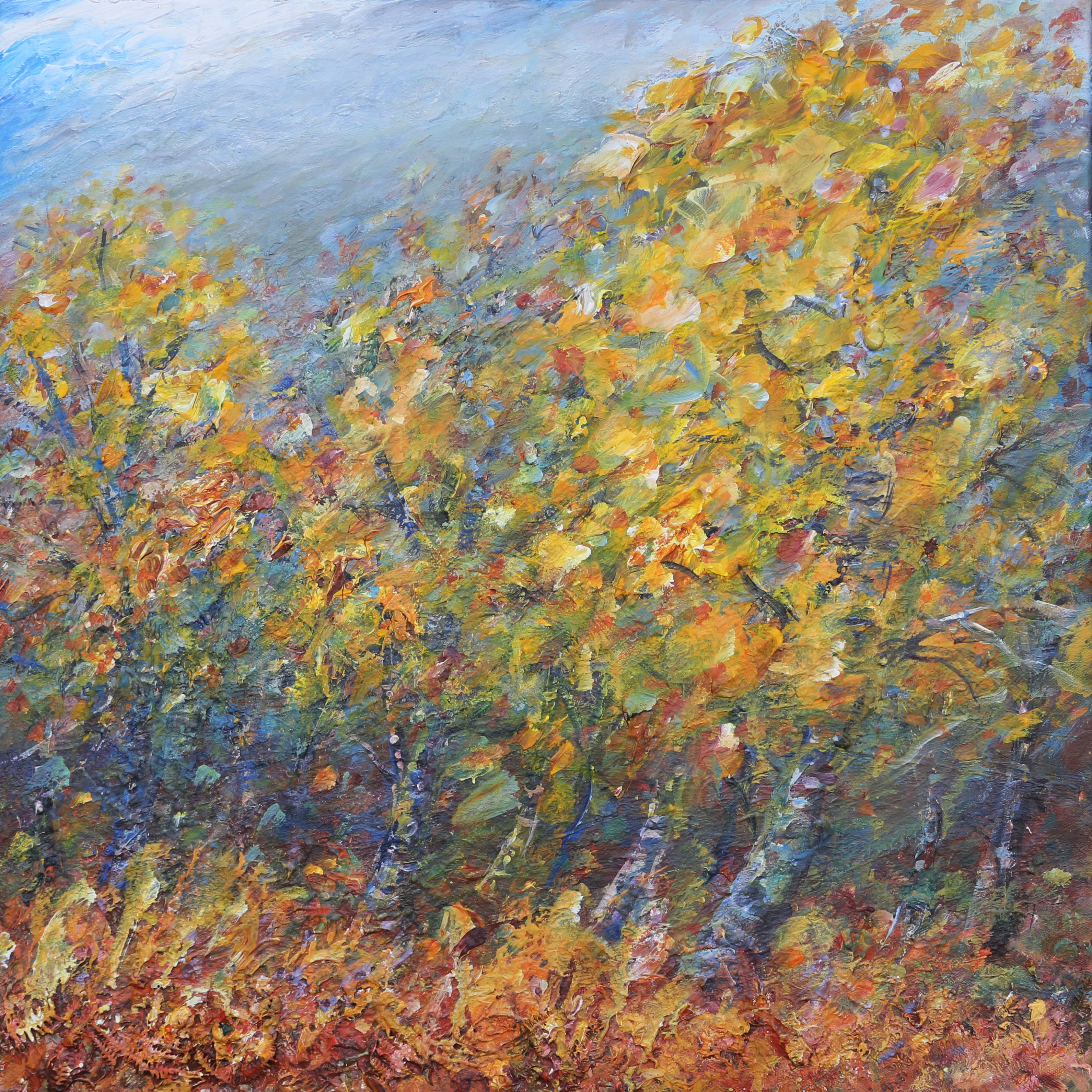 Birches and Bracken