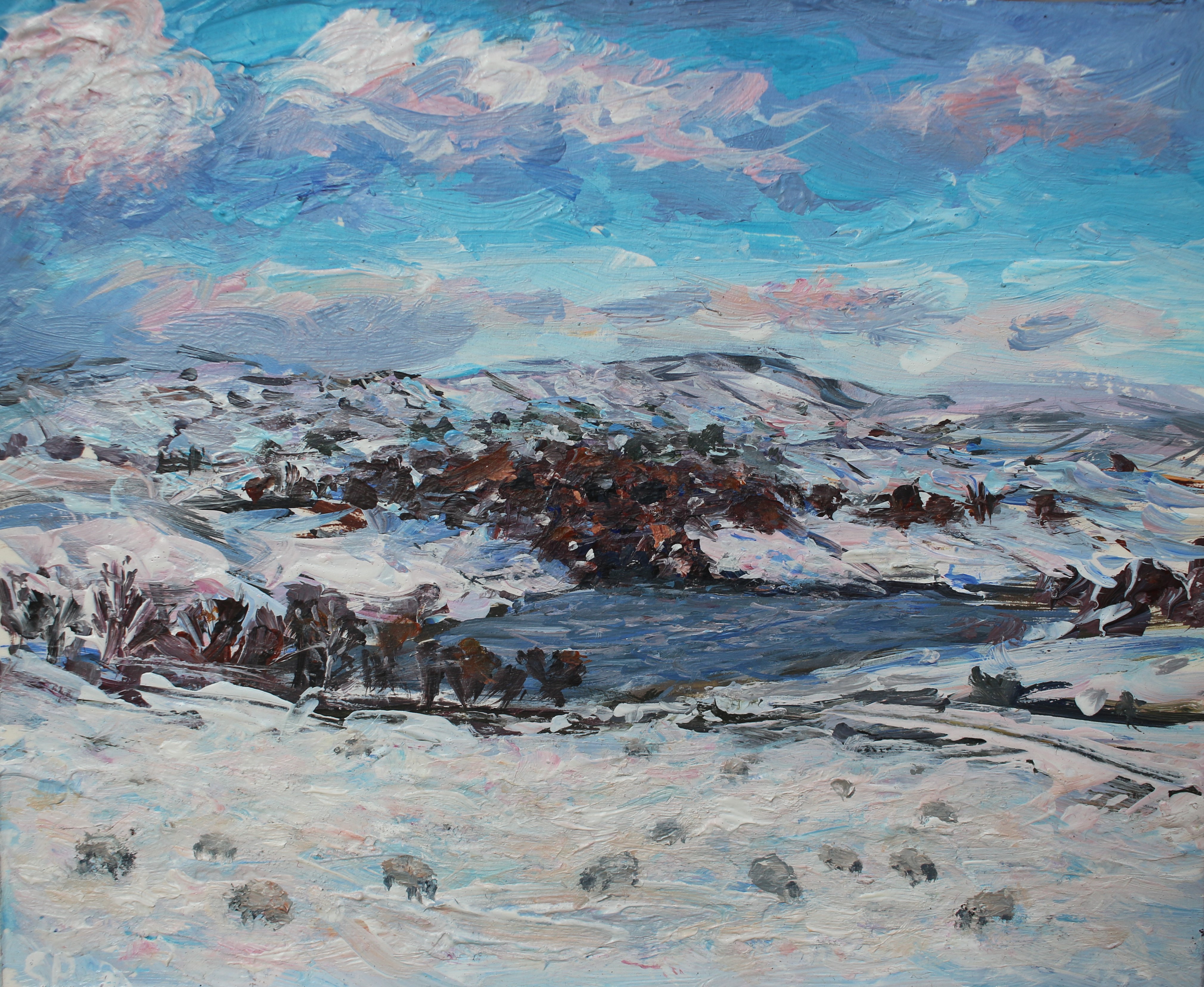 Snowy Swinshaw reservoir