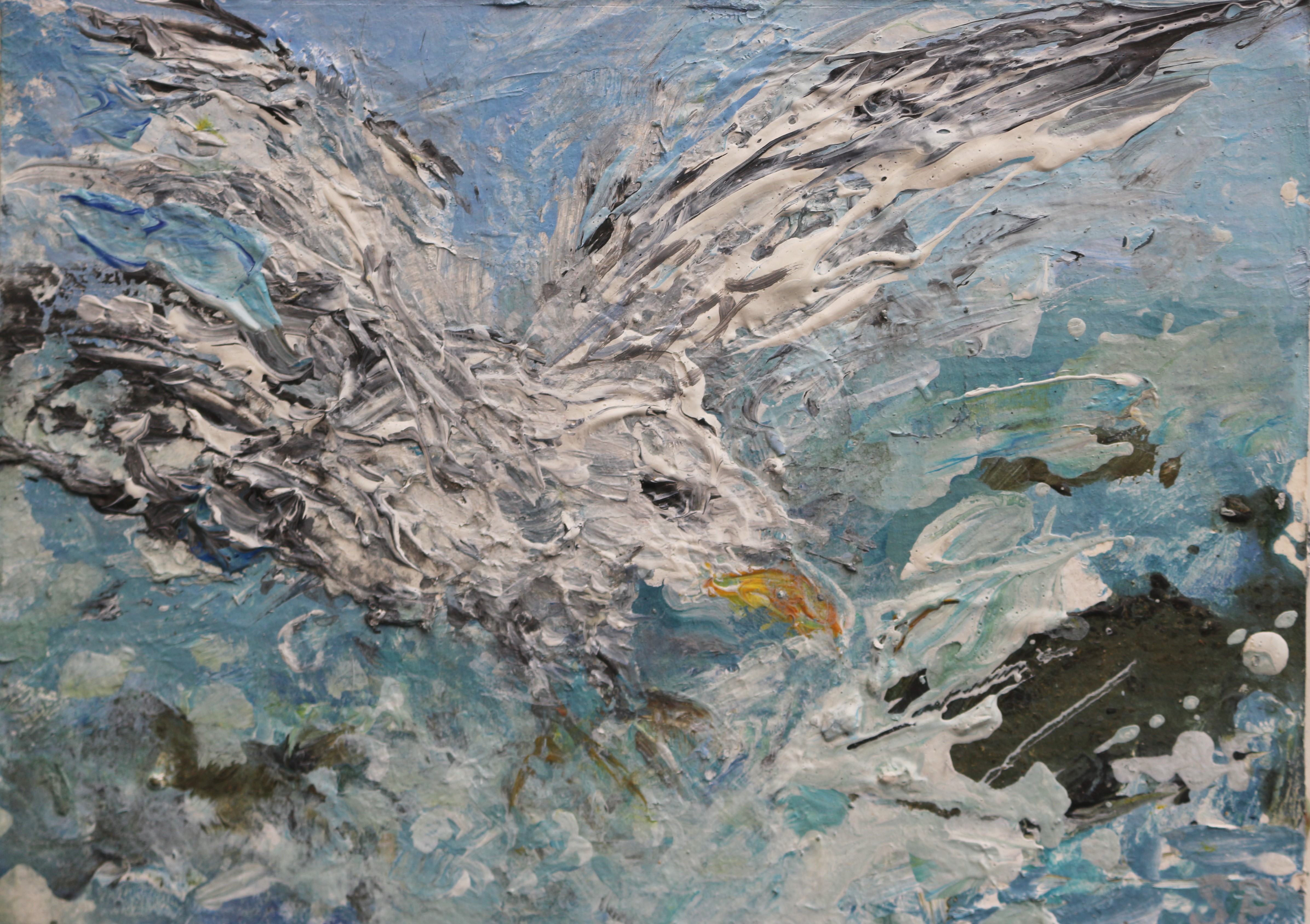 Seagull study 15x20cm (2)
