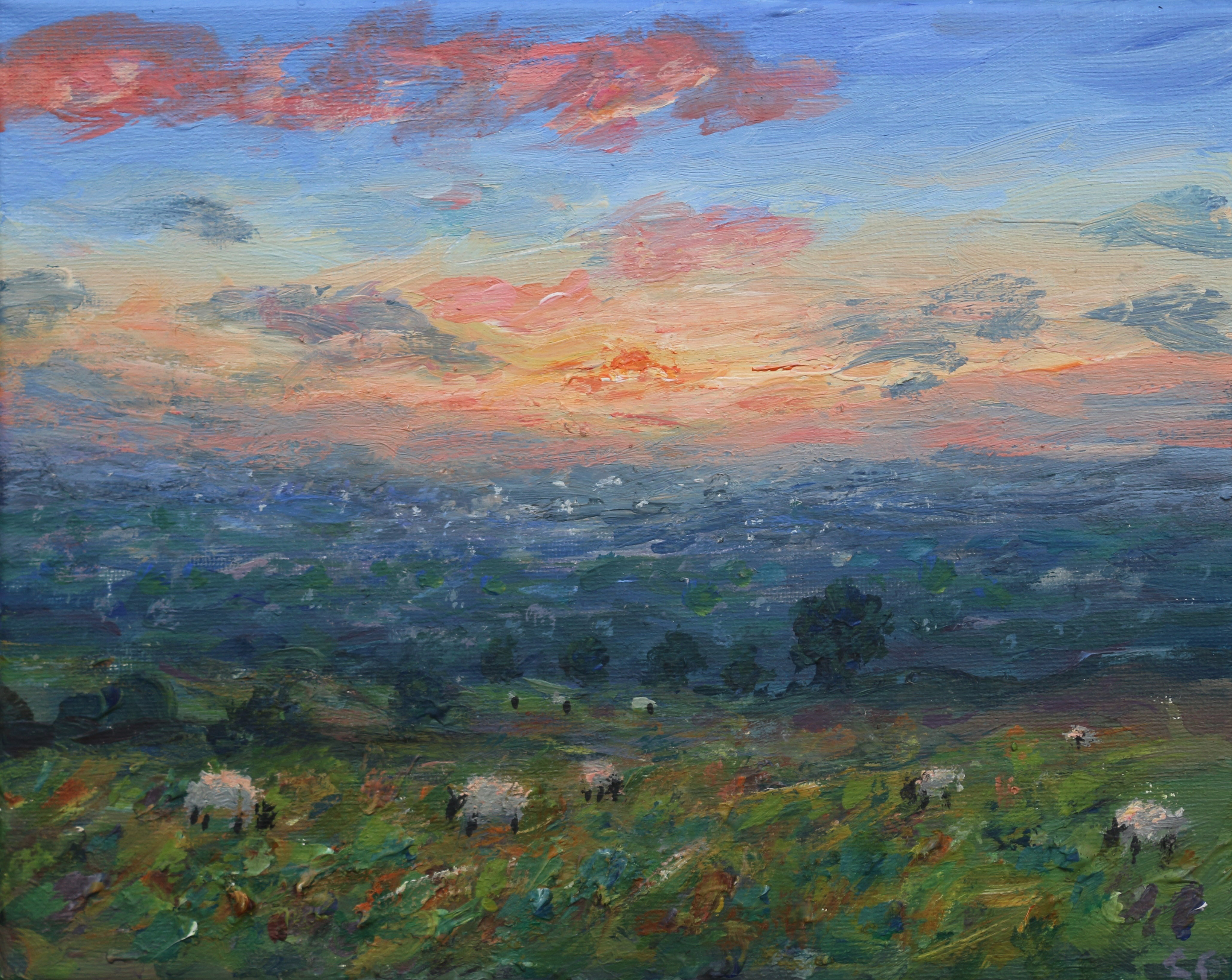 Sunset from the fields near Coombes edge - Copy.jpg
