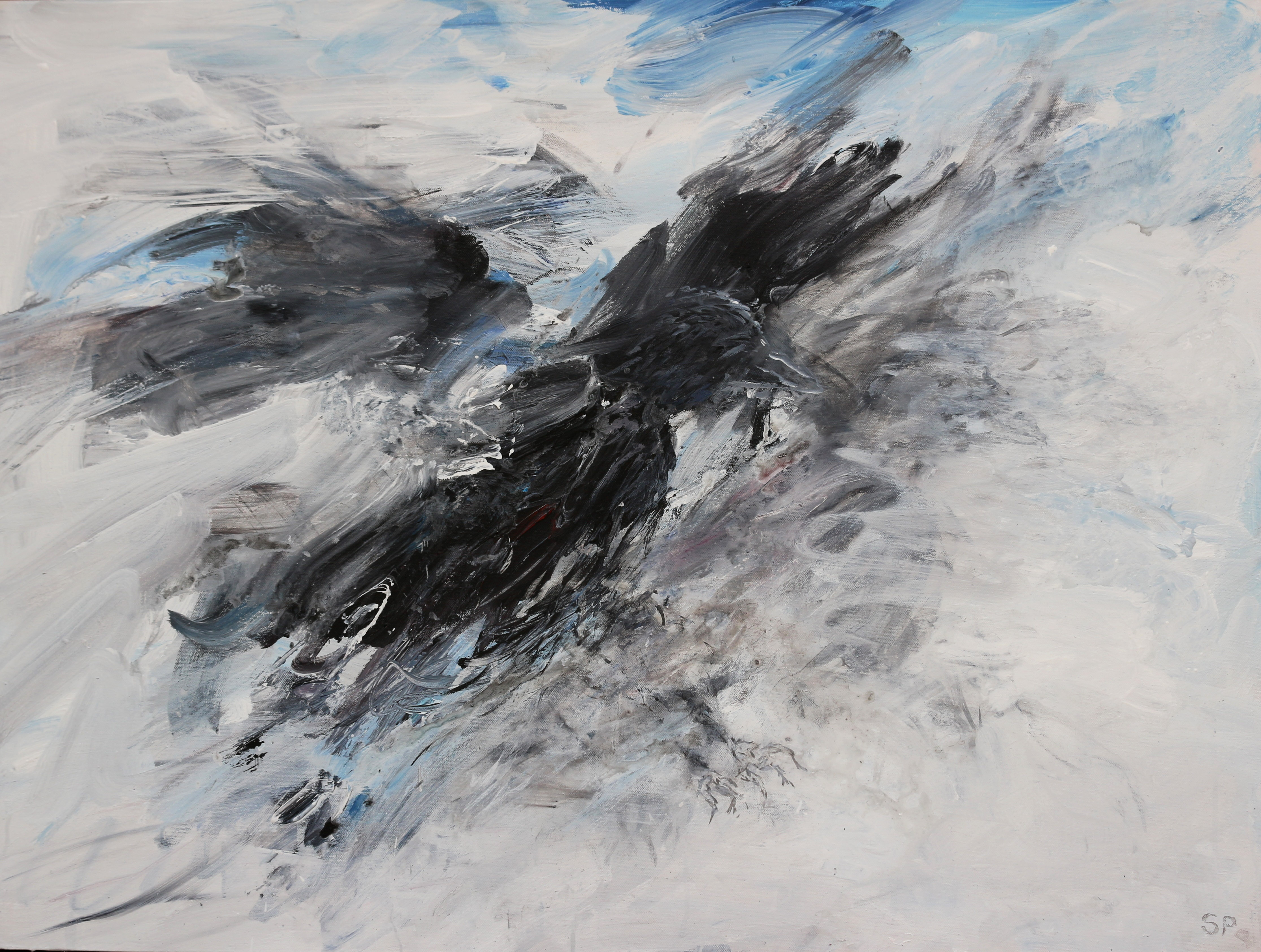 Crow 80 X100CM SOLD