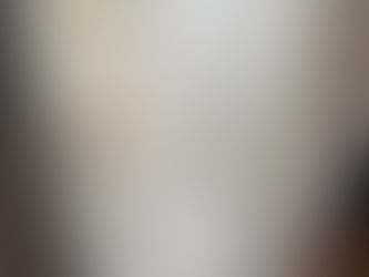 Stylish Master bath shower and Garage door entry Combo!