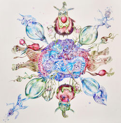 Planten-gekheid // 50 x 50 cm, balpen -Sold-